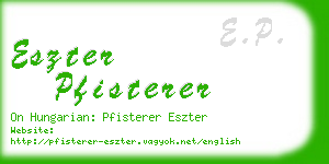 eszter pfisterer business card